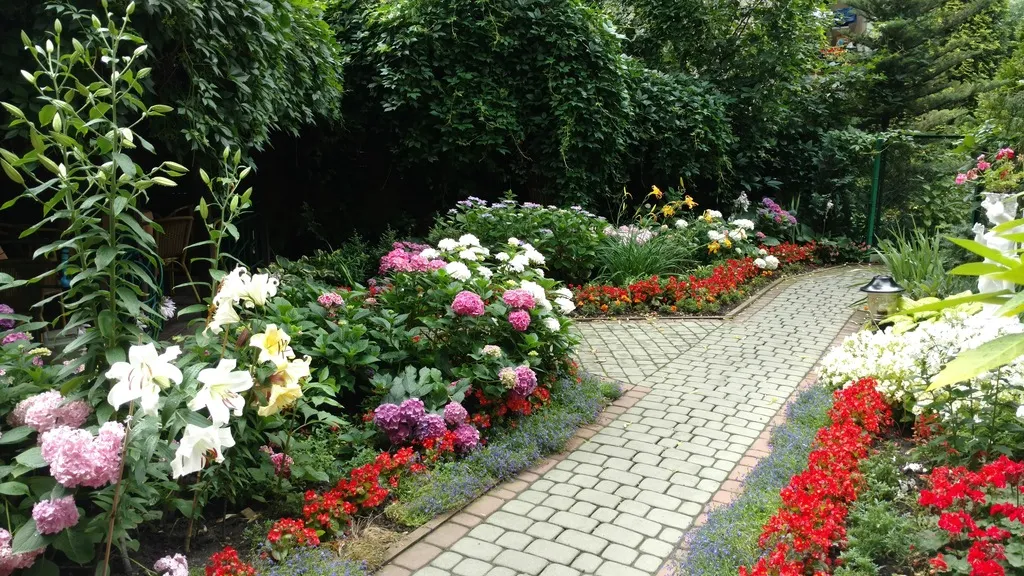 Terrace, Monika, Krakow