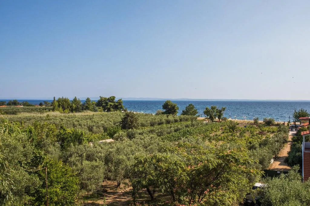 General view, Coral Blue Beach Hotel Gerakini, Halkidiki