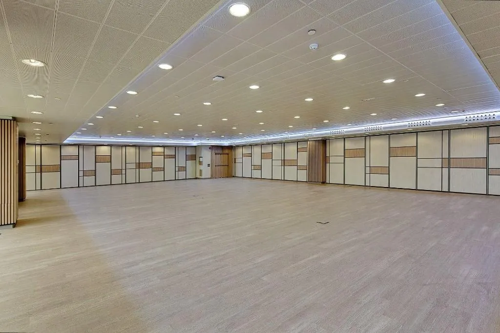 Conferences, Melia Avenida America, Madrid