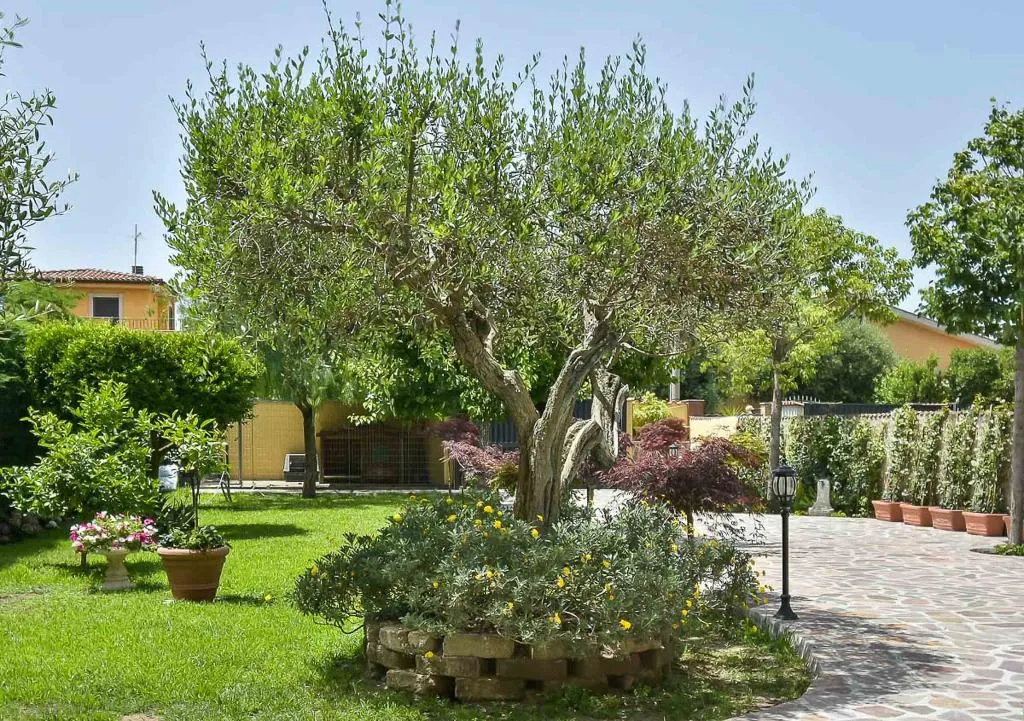 General view, A Casa Di Titty, Rome