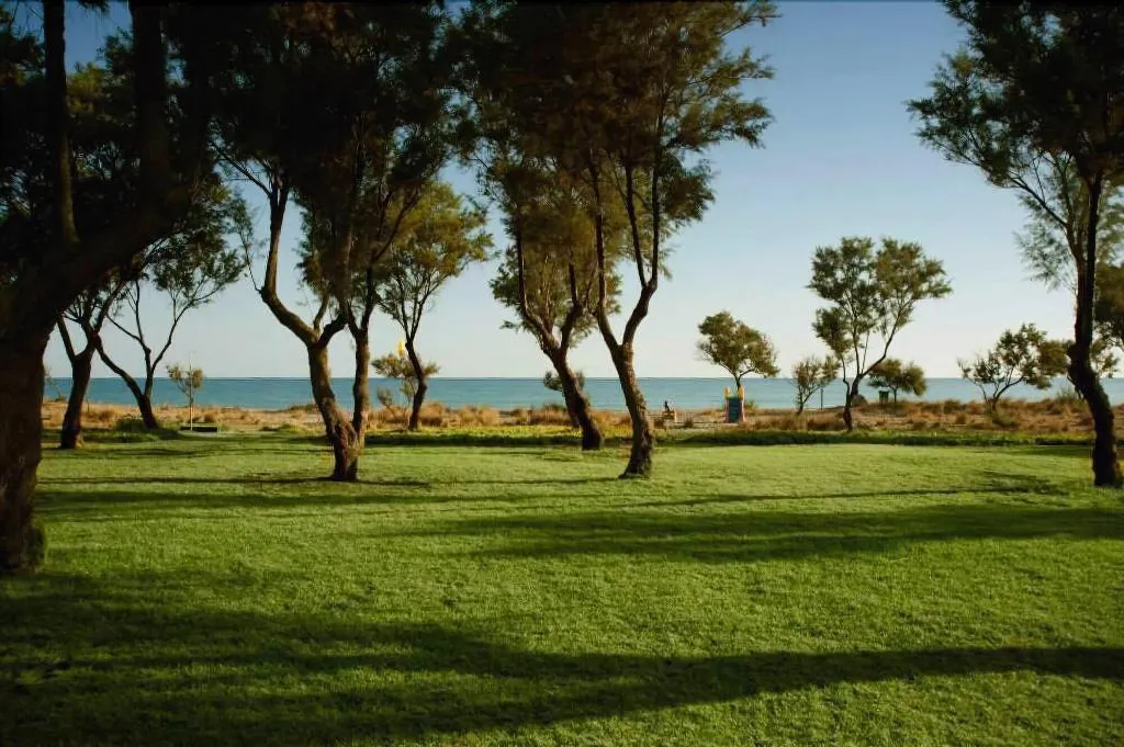 Terrace, Lito Beach, Crete