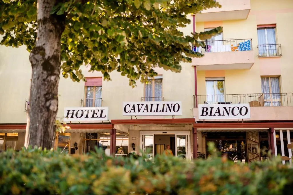 General view, Hotel Cavallino Bianco, Venice