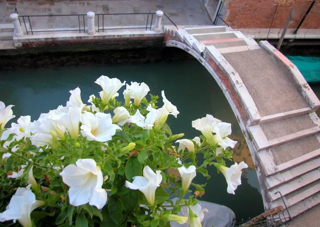 General view, 3749 Ponte Chiodo Guest House, Venice