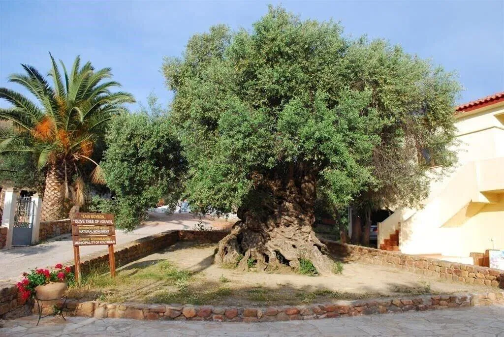 General view, Xristina's Apartments, Crete