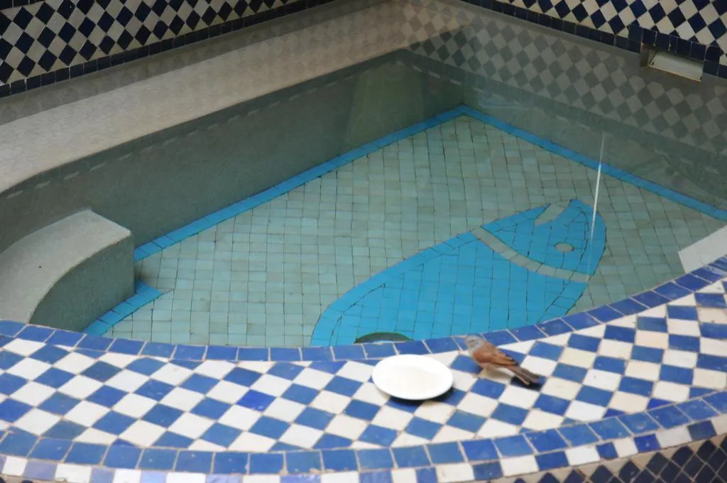 General view, Riad Les Lauriers Blancs, Marrakech