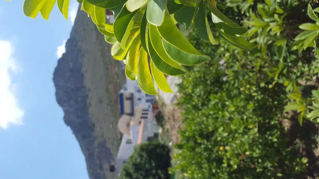 General view, Semiramis Piskopiano, Crete