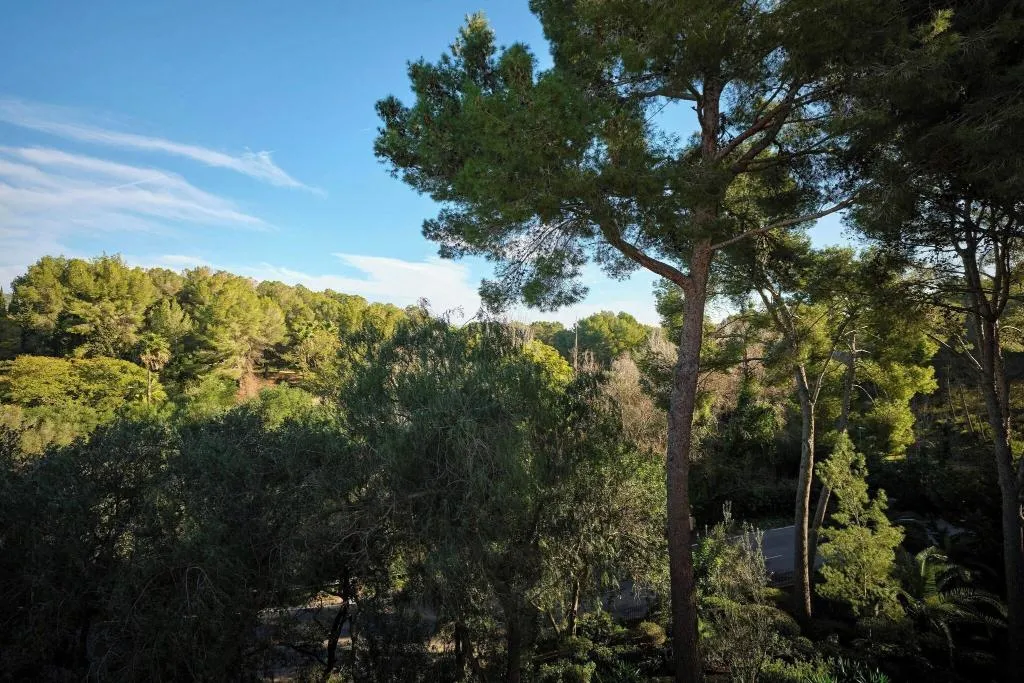 TWIN DELUXE WITH BALCONY Room, Sheraton Mallorca Arabella Golf Hotel, Majorca