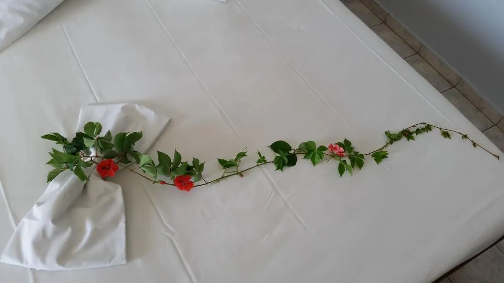 SINGLE STANDARD Room, Astir Palace, Zante