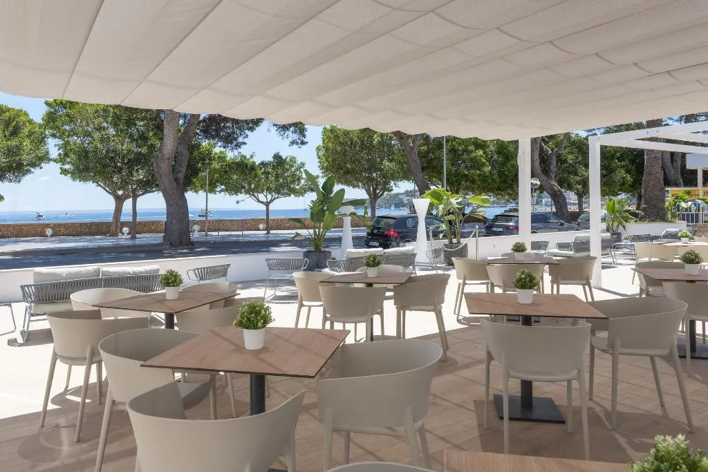 Terrace, Palia Tropico, Majorca