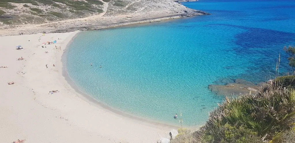 Sports and Entertainment, Son Cardaix, Majorca