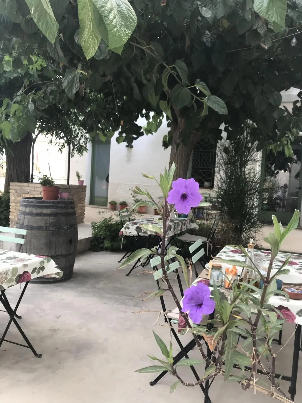 General view, Hostal Cling 43, Costa Dorada