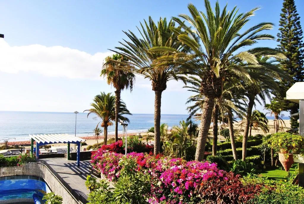 Room, El Paseo, Gran Canaria