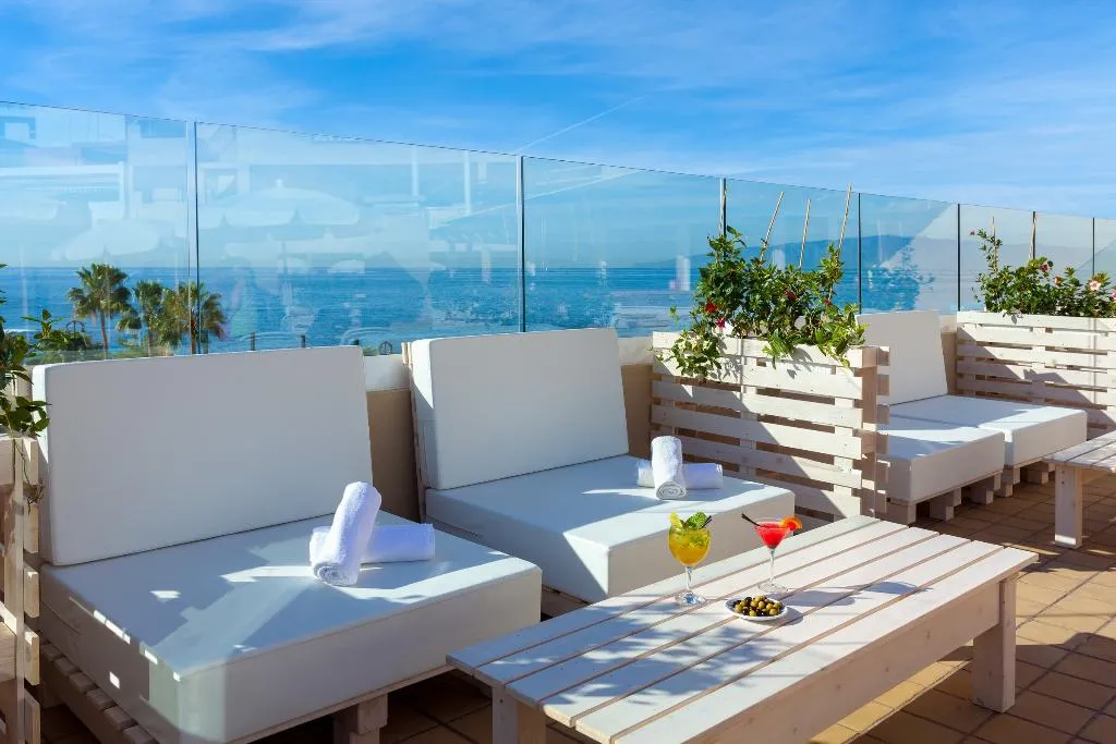 Terrace, Dragos del Sur, Tenerife