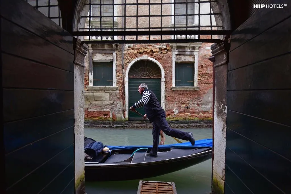 Sports and Entertainment, Charming House Iqs, Venice