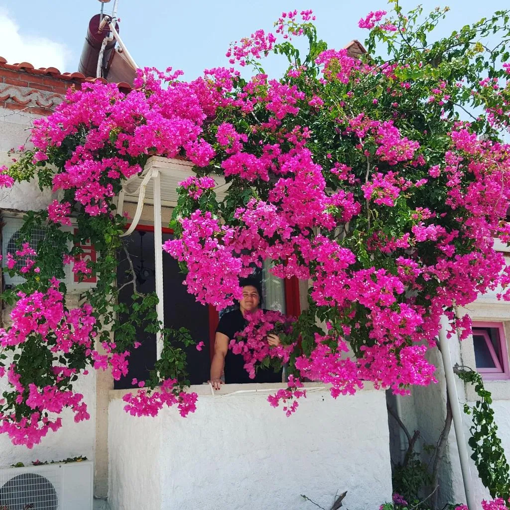 General view, Narcicegi Butik Otel Alacati, Izmir