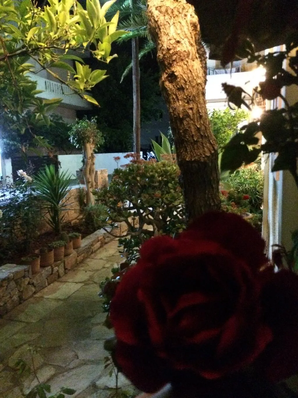 General view, Porto Sisi Hotel Apartments, Crete