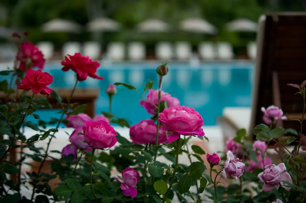 Pool, Dionysos, Dalaman