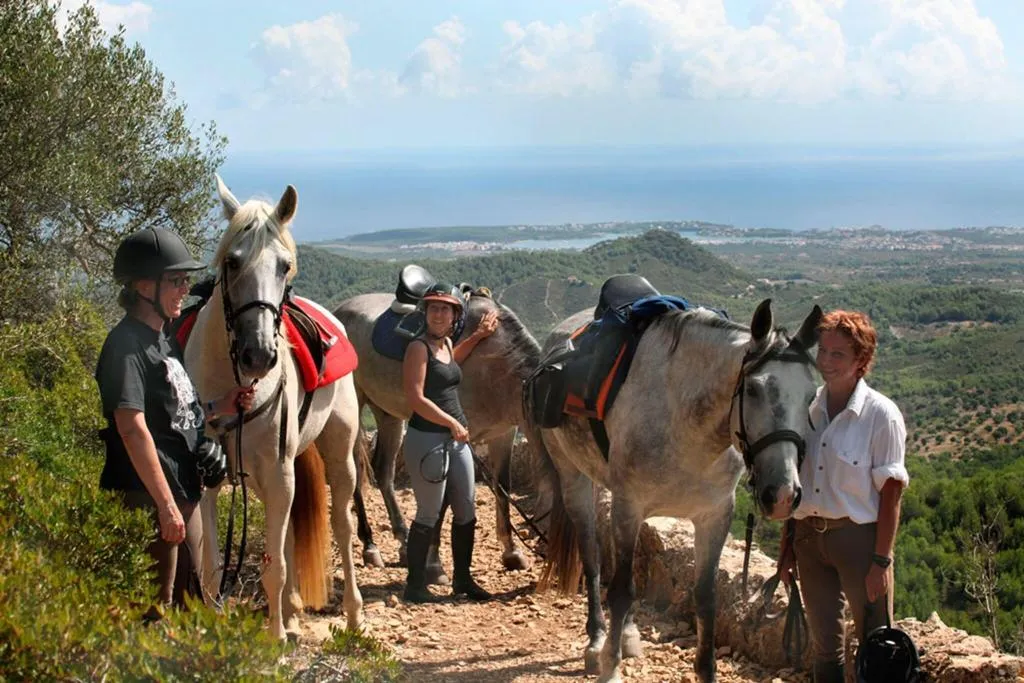 Sports and Entertainment, Hotel Lavenida, Majorca
