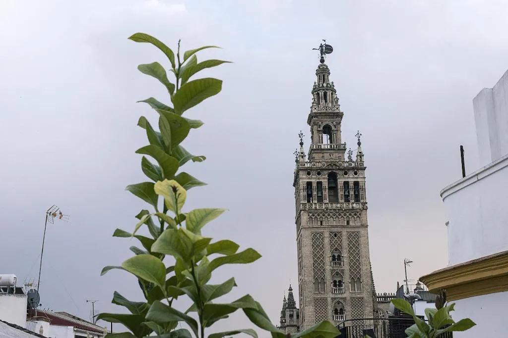 General view, Welldone Cathedral, Seville