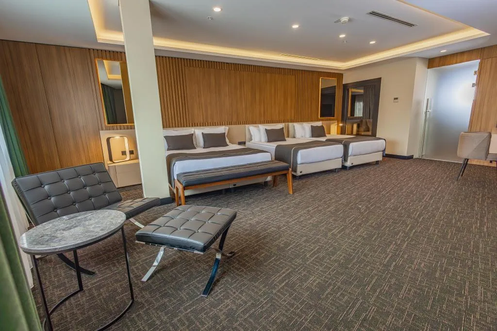 Room CLASSIC Room, FT Lotus Thermal Hotel & Spa Trademark Collection, Izmir