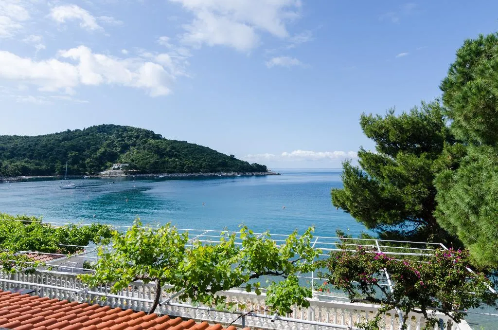General view, Apartments Franka Saplunara, Dubrovnik