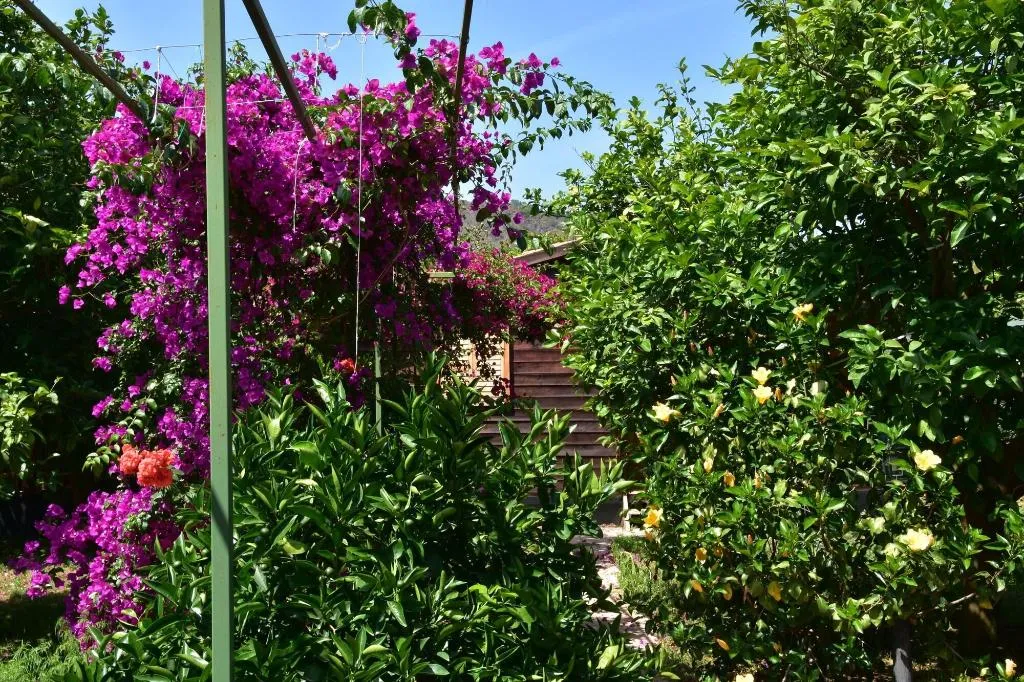 General view, Lemon Garden Lodge, Antalya