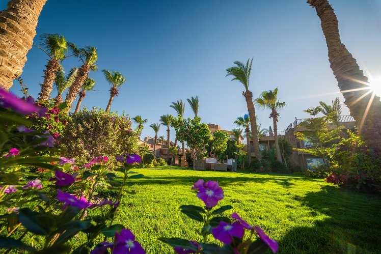 Ananea Hurghada, Red Sea Riviera