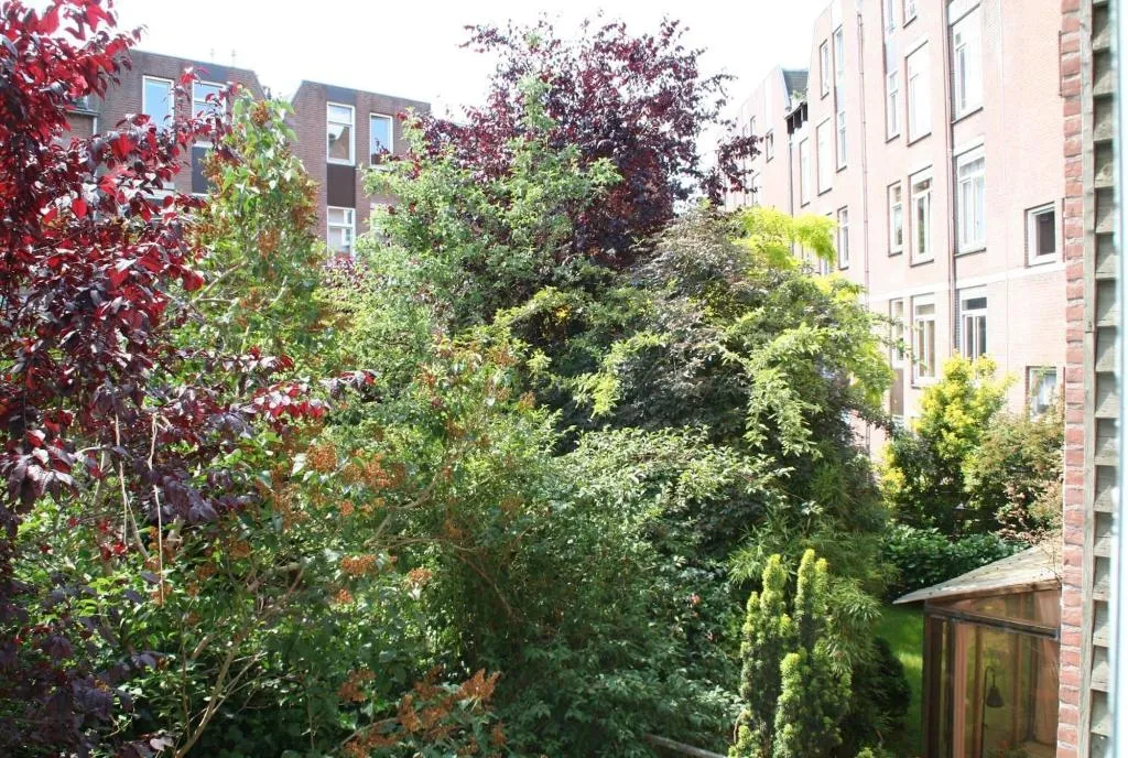 General view, B&B Jordaan, Amsterdam