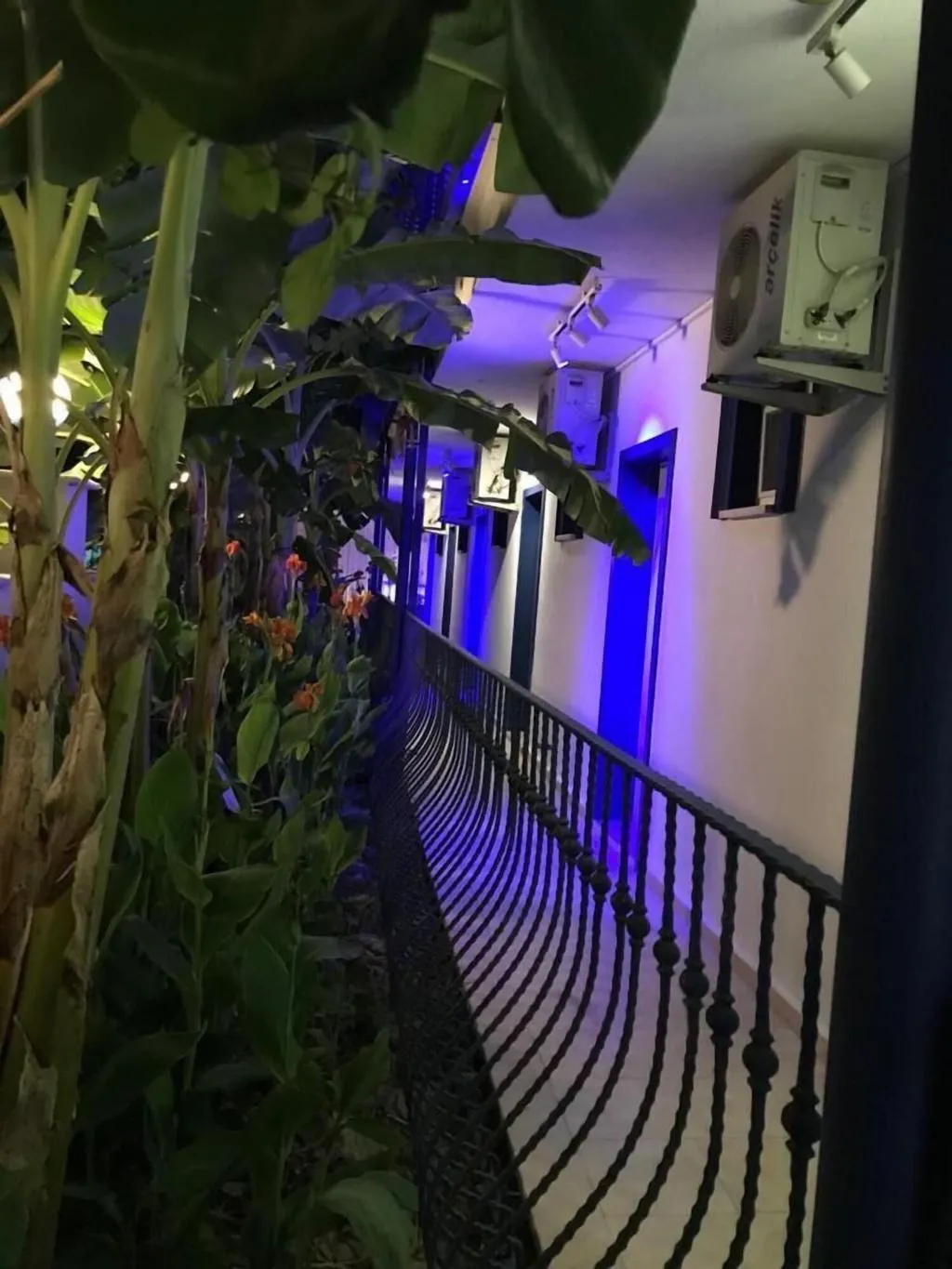 Terrace, Rota Hotel Dalyan, Dalaman