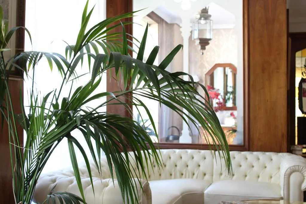Lobby, El Bedel, Madrid