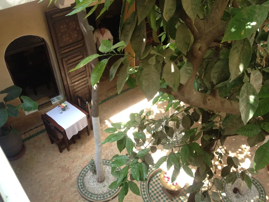 General view, Riad Dama, Marrakech