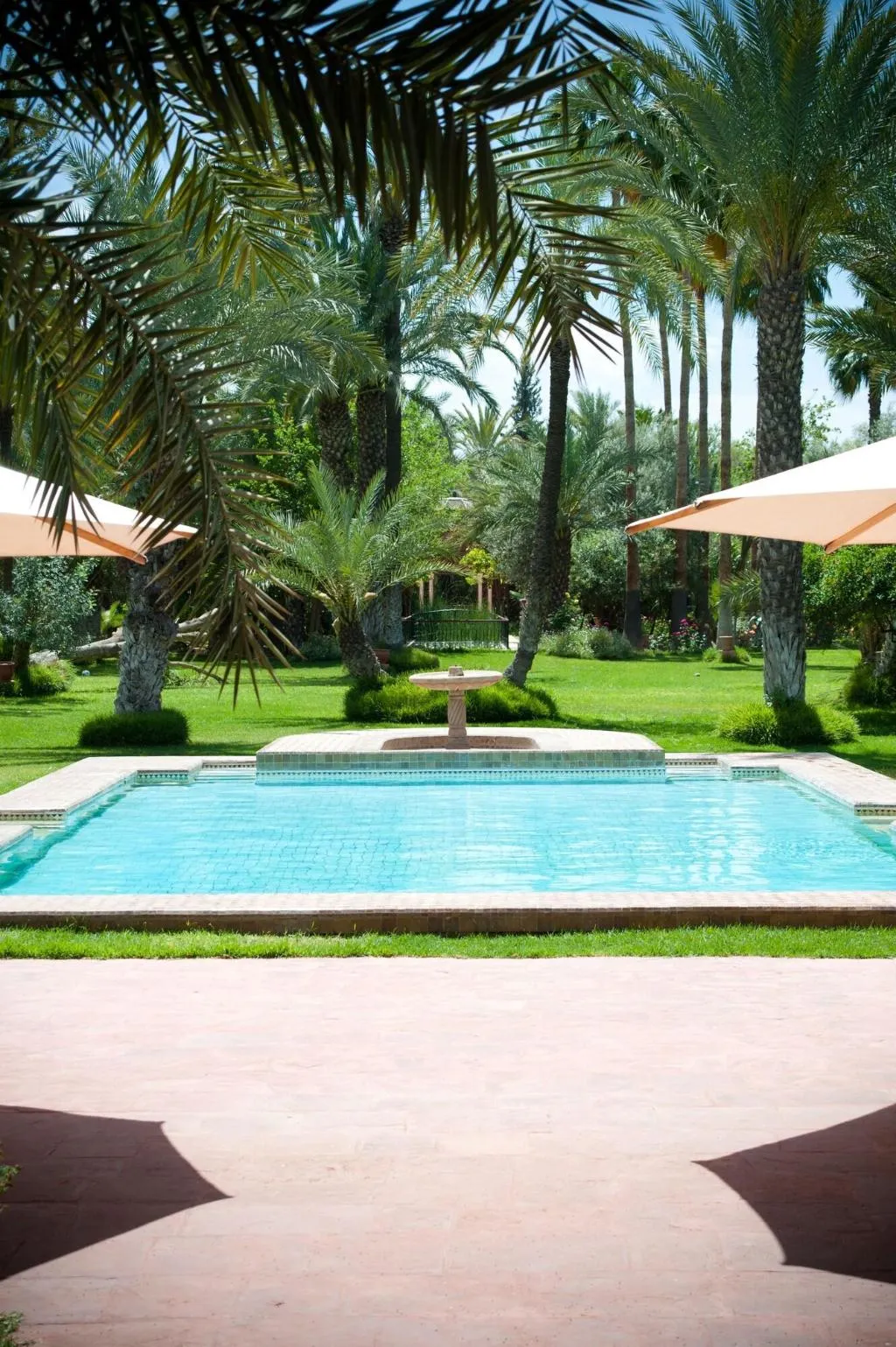 Sports and Entertainment, Dar Ayniwen Garden Hotel & Bird Zoo, Marrakech