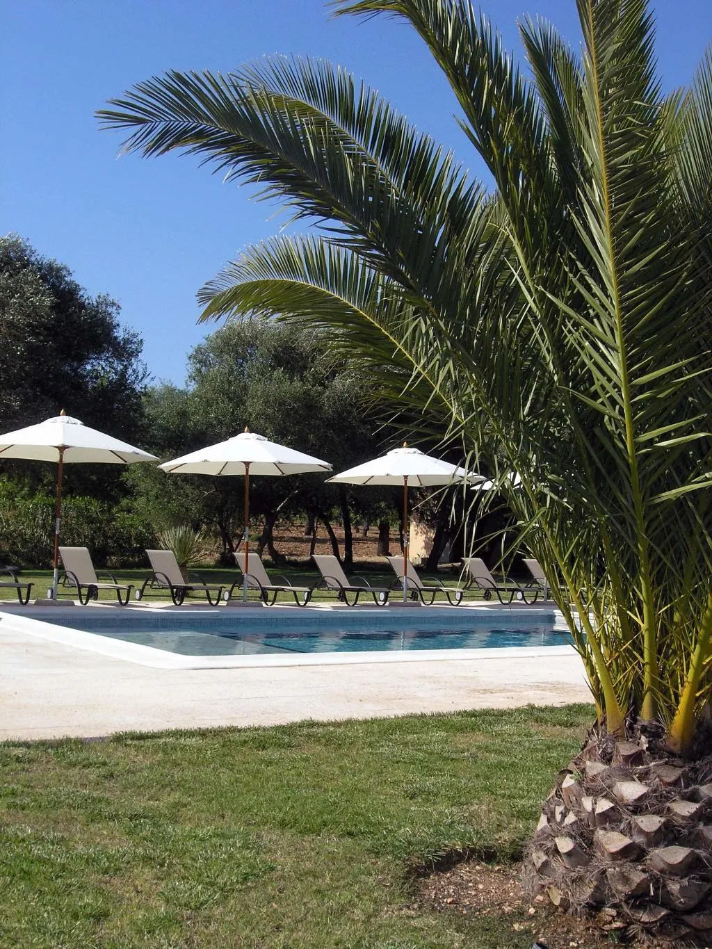 General view, Agroturismo Son Olive, Majorca