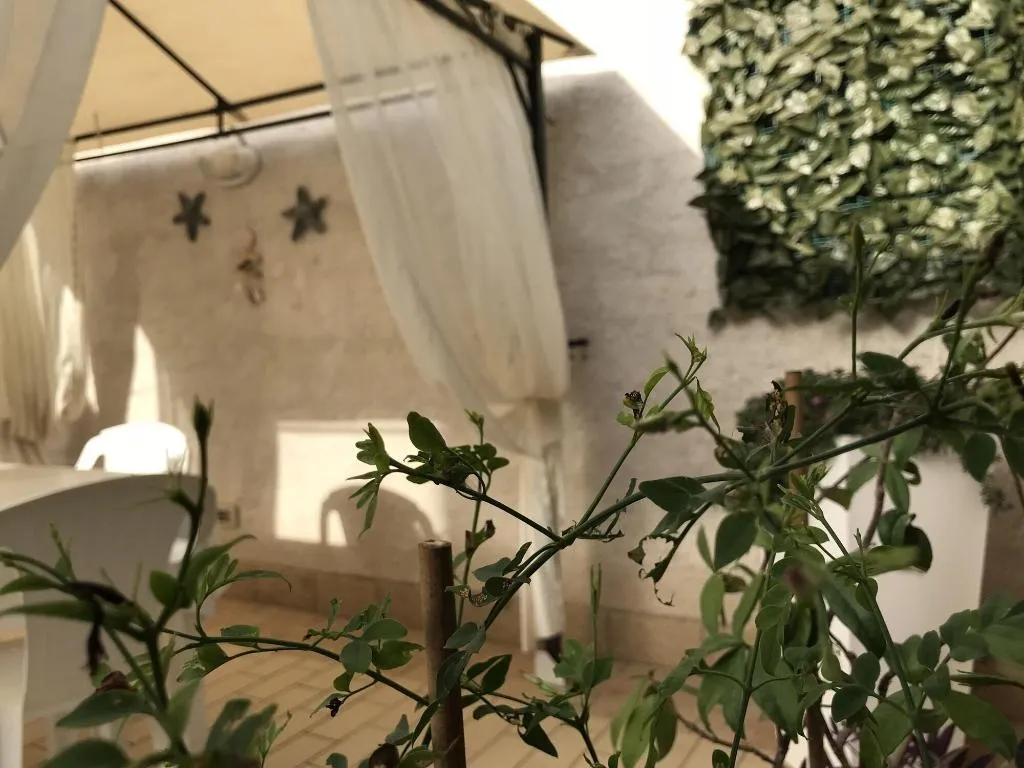 Room, Trapani Home, Palermo