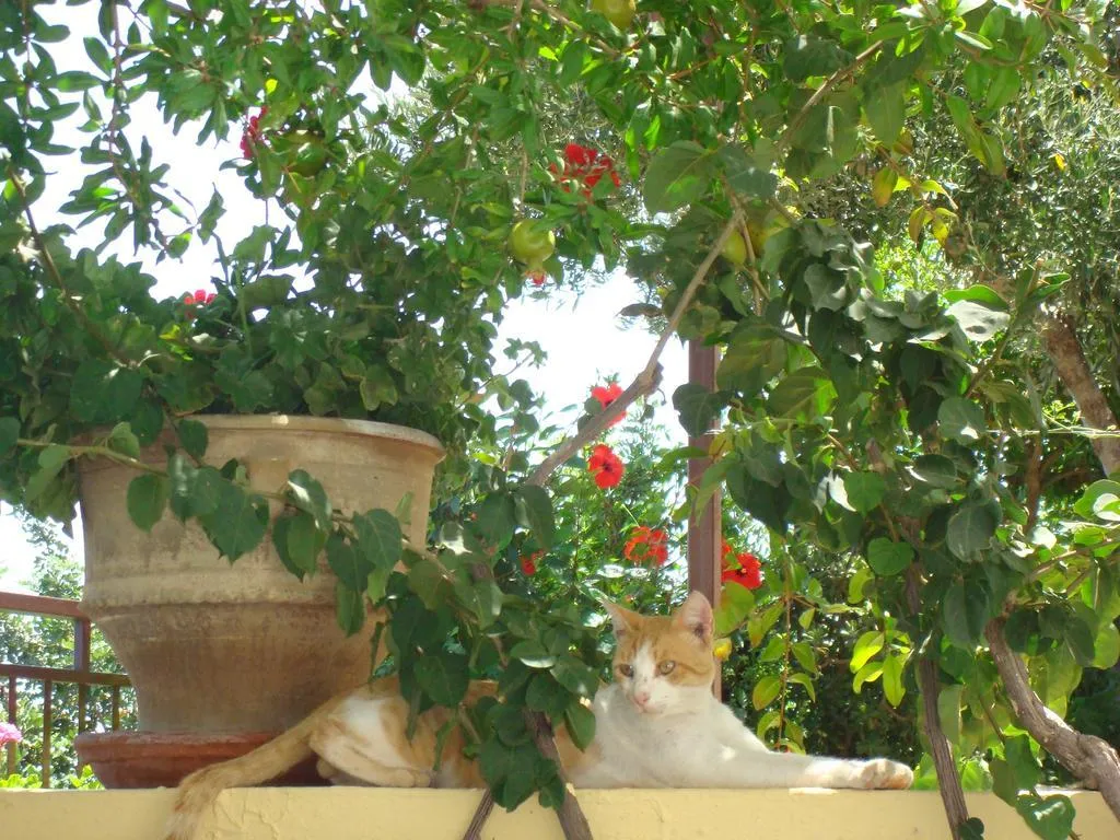 Lobby, Villa Diktynna, Crete