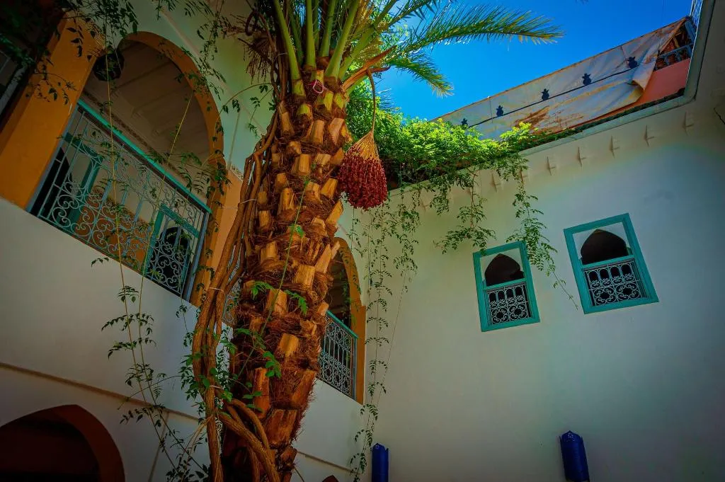 General view, Riad Dar Mamouni, Marrakech