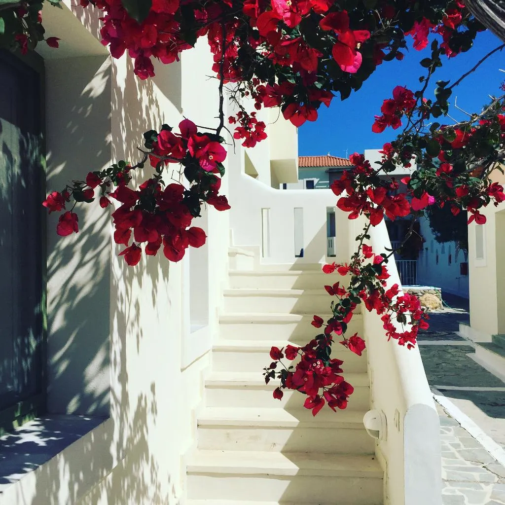General view, Aphrodite Samos Superior Studios & Apartments, Samos