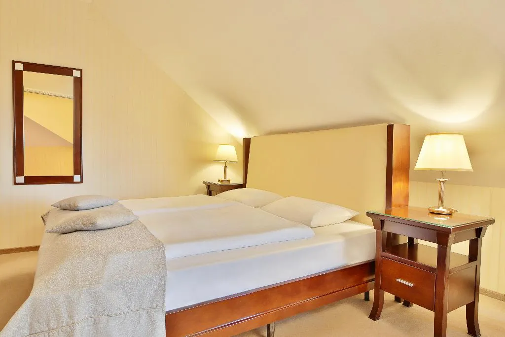 DOUBLE STANDARD Room, Sun Palace Wellness Hotel Marianske Lazne, Prague