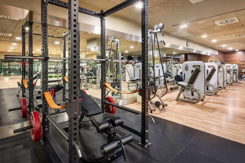 Sports and Entertainment, Melia Avenida America, Madrid