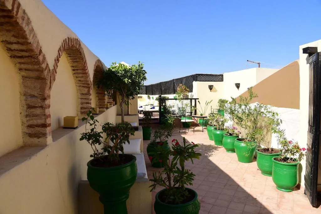 Terrace, Riad Du Petit Prince, Marrakech