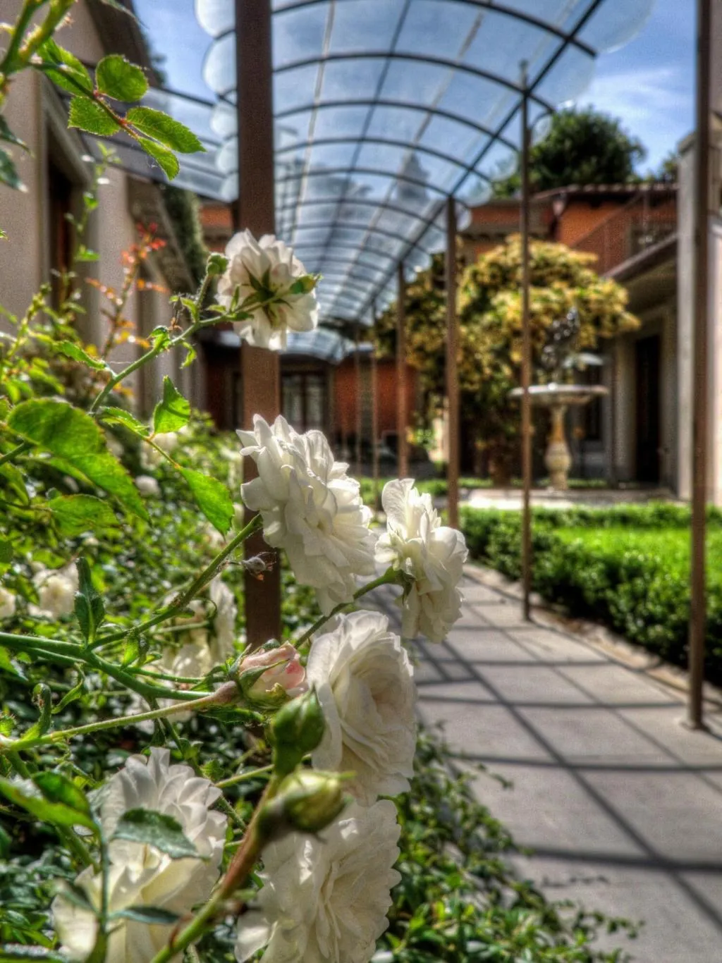 Terrace, Orto de Medici, Florence