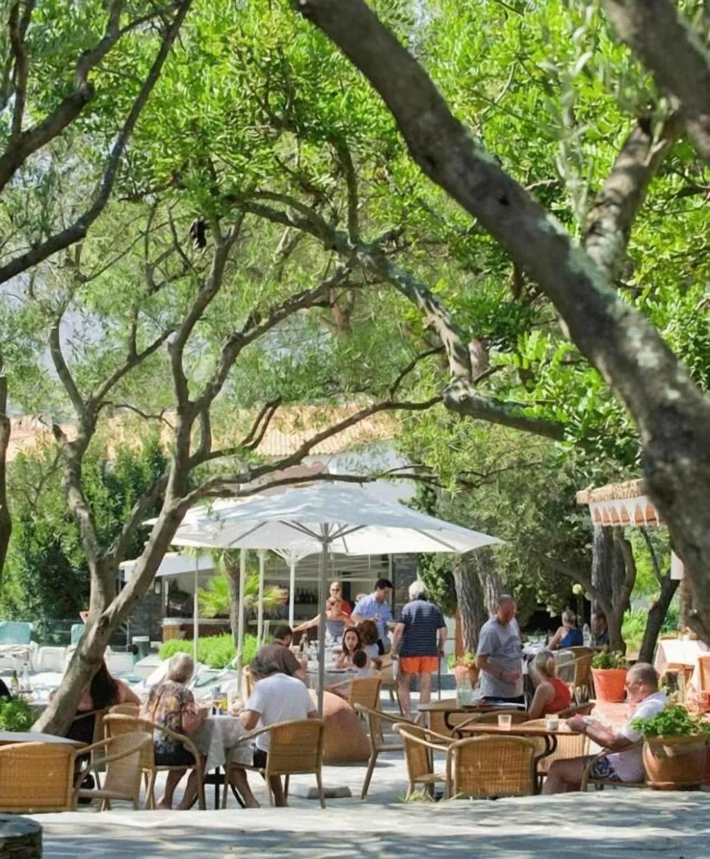 Restaurant, Hotel Playa Sol, Costa Brava