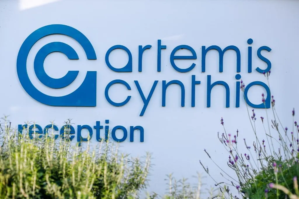 General view, Artemis Cynthia Complex, Cyprus