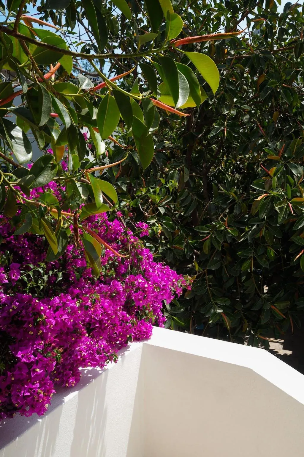 General view, Oya Boutique Hotel & Suites, Bodrum