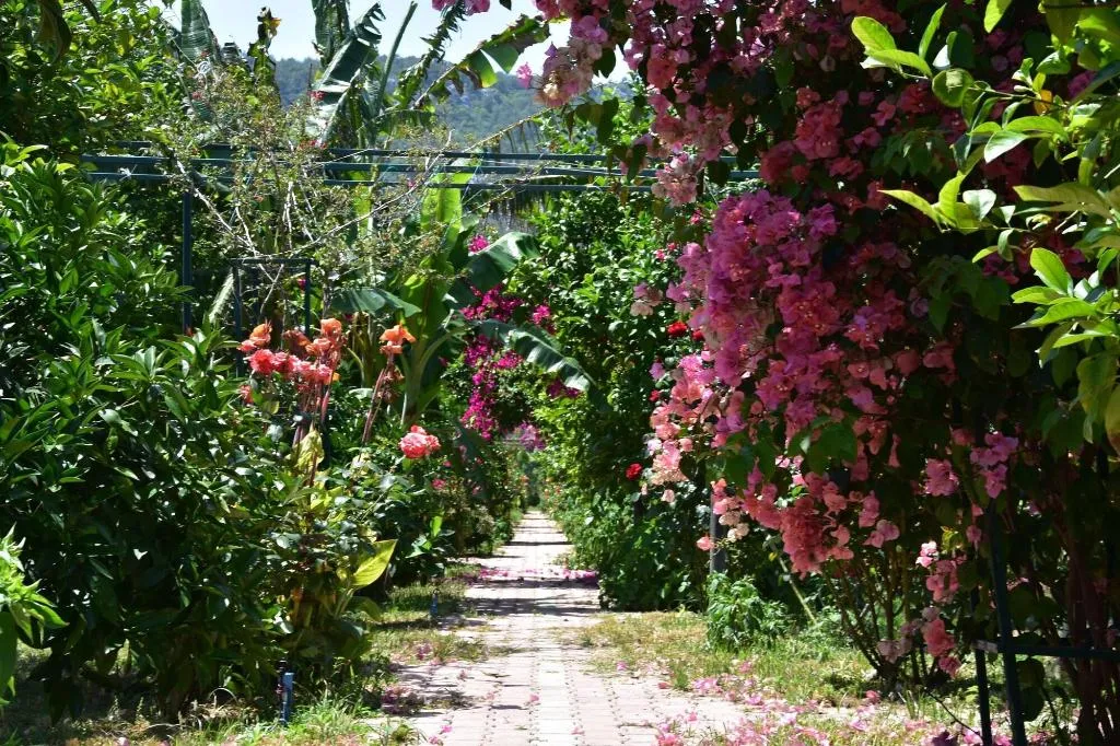 General view, Lemon Garden Lodge, Antalya