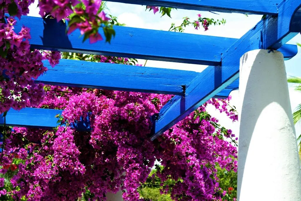 Sports and Entertainment, Su Hotel, Bodrum