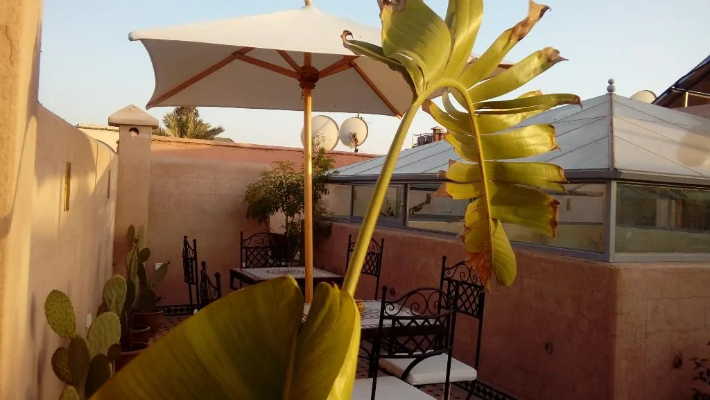 Terrace, Riad Miral, Marrakech