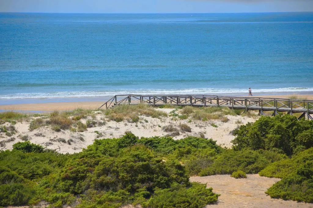 Beach, Sol Sancti Petri, Costa De La Luz