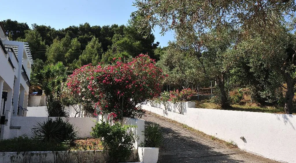 General view, Anamar Skiathos Hotel, Skiathos