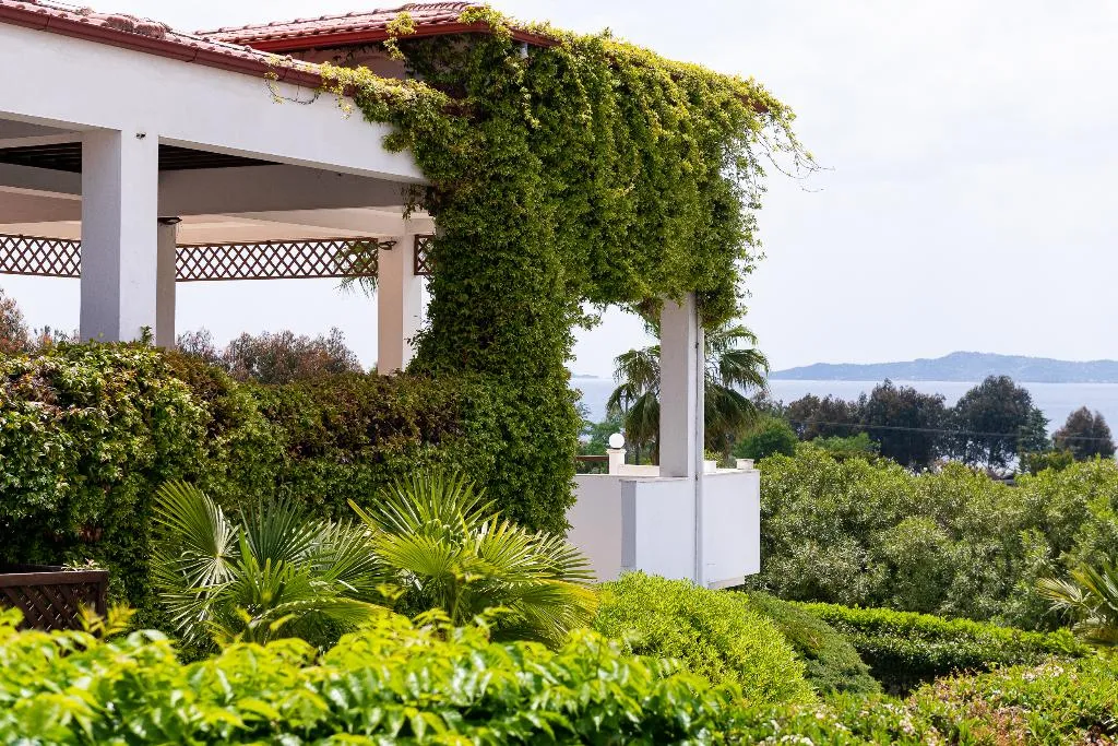 Terrace, Alexandros Palace Hotel & Suites, Halkidiki